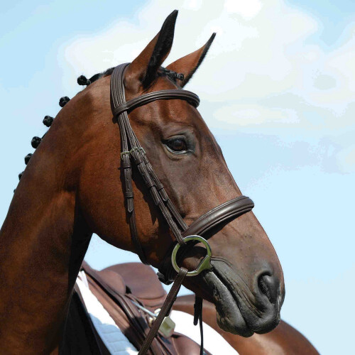 Collegiate Syntovia+ Horse Bridle