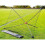 Precision Quick Setup Ball Rebounder 1