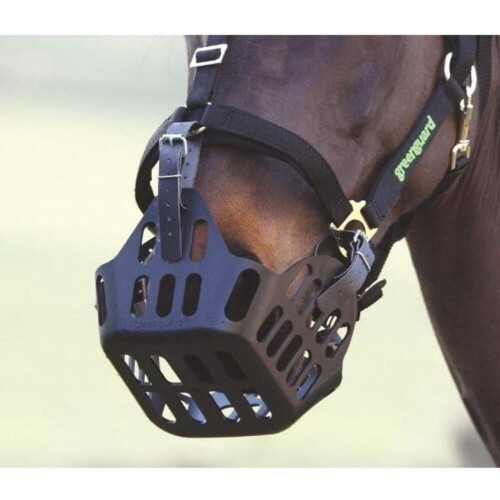 GreenGuard Leather Horse Grazing Muzzle Strap 2