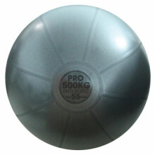 Fitness Mad Studio Pro Swiss Ball