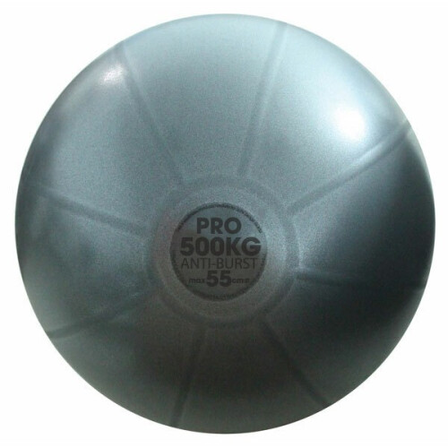 Fitness Mad Fitness Mad Studio Pro Swiss Ball