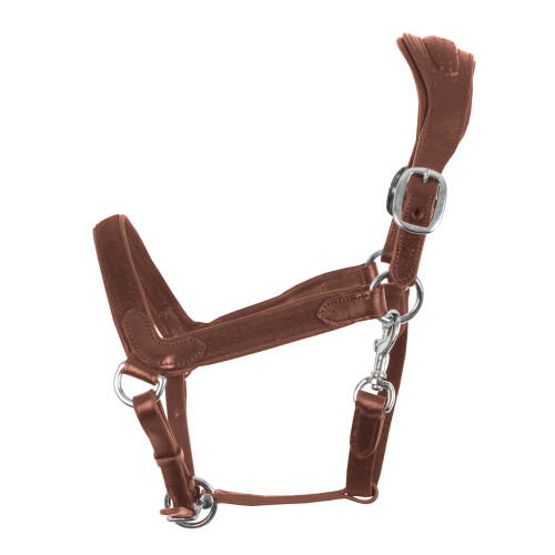 Weatherbeeta Comfitec Leather Headcollar