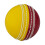 Readers Readers Supaball Cricket Ball 1