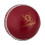 Readers Readers Supaball Cricket Ball 2