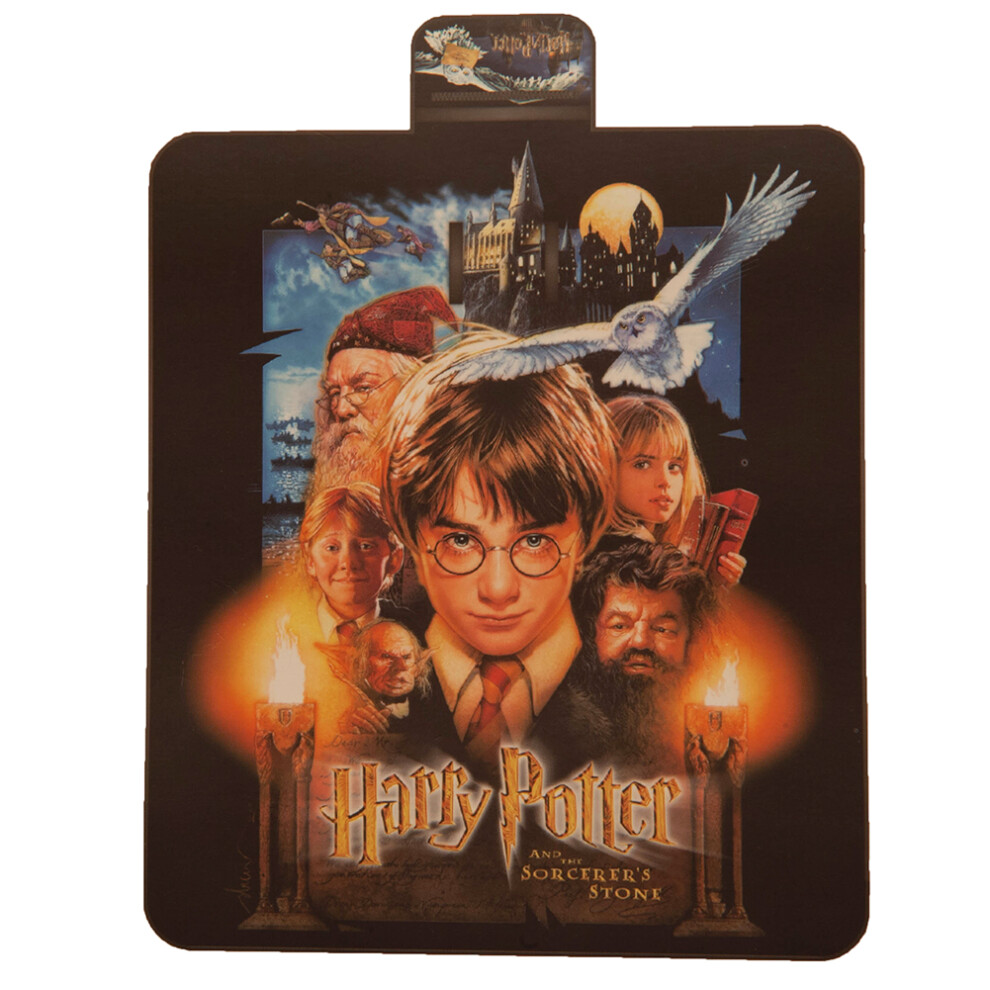 Harry Potter Hedwig Mat