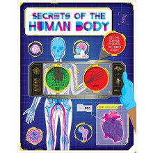 Secrets of the Human Body by Autumn Publishing Hardcover Book