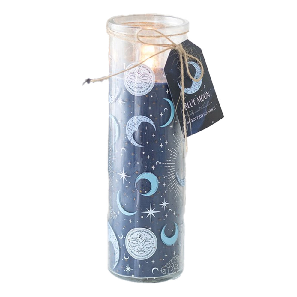 Something Different Blue Moon Fig And Vanilla Tube Candle