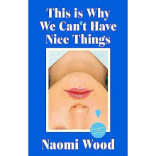 This Is Why We Cant Have Nice Things by Naomi Wood Hardcover Book