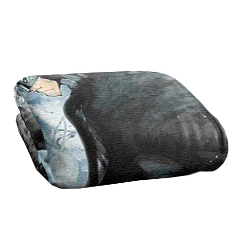 Batman Batman Silky Profile Soft Touch Blanket 1