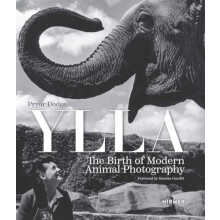 Ylla The Birth of Modern Animal Photography by Pryor Dodge Hardcover B