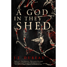 A God in the Shed by JF. Dubeau Paperback Book
