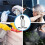 Plastic Spray Bottles for Cleaning Solutions,10OZ Reusable Empty Container with Durable Black Trigger Sprayer, 3Pack 7