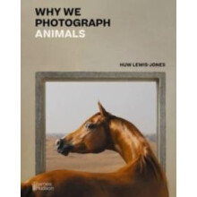Why We Photograph Animals by Huw LewisJones Hardcover Book