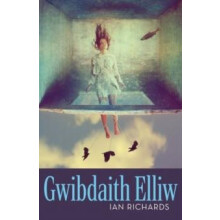 Gwibdaith Elliw by Ian Richards Paperback Book