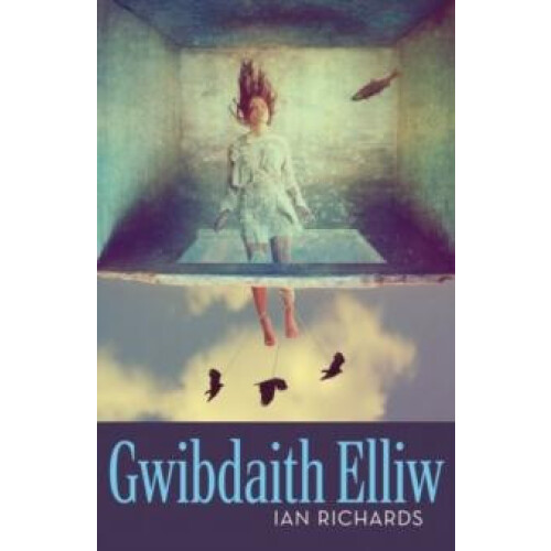 Gwibdaith Elliw by Ian Richards Paperback Book