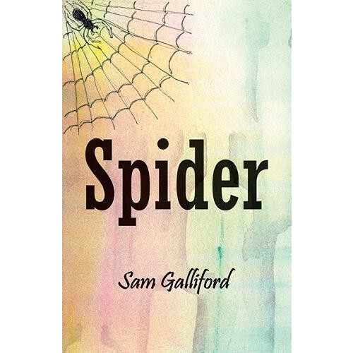 Spider by Sam Galliford Paperback Book