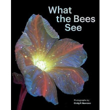 What the Bees See by Craig P. Burrows Hardcover Book