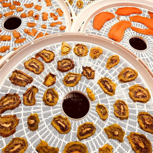 10pcs Round Silicone Dehydrator Sheets, Non Stick Silicone Mesh for Fruit Dehydrator, Tray Liner Reusable 2