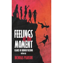 Feelings of the Moment by Nicholas Pearson Paperback Book
