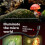 RM-03 Macro Fill Light 3W LED Arm Light Adjustable for    Photography External Set Top Light 5
