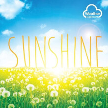 Sunshine by Harriet Brundle Paperback Book