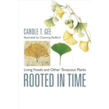 Rooted in Time by Gee Carole T. Associate Professor of Paleontology Un