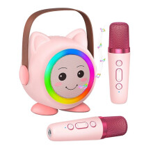 Karaoke Machine Toy for Kids, Portable Karaoke Microphone System with 2 Wireless Microphone Birthday Gifts