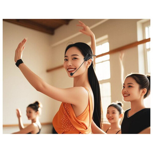 2.4G Mic System Long Range Wireless Microphone System  Handheld Mic 2 in 1 for Teaching Stage Performers 2