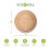 Compostable, Biodegradable, Disposable  Leaf Plates Sturdy, Microwave & Oven Safe (20, 8 inch Round Plates) 3