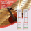 4/4 Violin Fretboard Sticker Fingerboard  Fiddle Learn Note Chart Tape 2Pcs 1