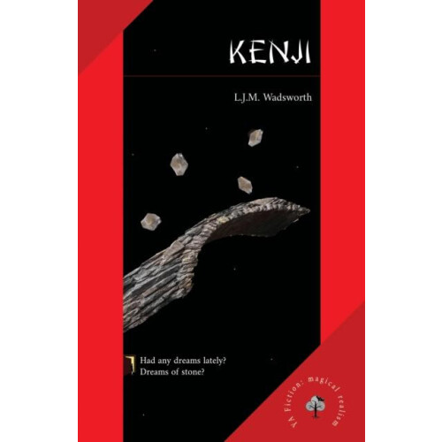 Kenji by L.J.M. Wadsworth Paperback Book