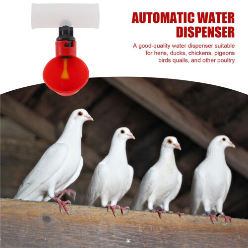 Chicken Drinking Cup 10 Pieces Automatic Drinker Drinker Red Plastic Duck Bird Quail  Hen Drinker Bowl 2