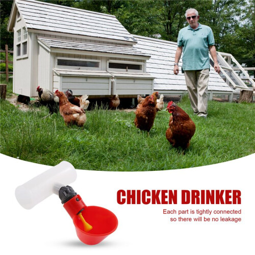 Chicken Drinking Cup 10 Pieces Automatic Drinker Drinker Red Plastic Duck Bird Quail  Hen Drinker Bowl