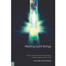 Meeting Spirit Beings by Bob Woodward Paperback Book