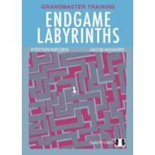 Endgame Labyrinths by Jacob Aagaard Paperback Book