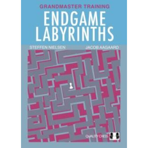 Endgame Labyrinths by Jacob Aagaard Paperback Book
