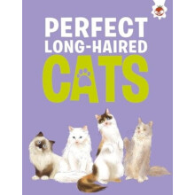 Perfect LongHaired Cats by Eliza Jeffery Paperback Book