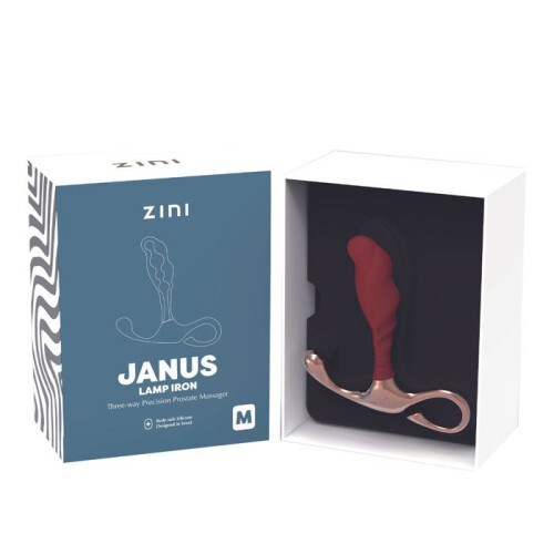 Zini - Lamp JANUS van ijzer (M) Bordeaux 1