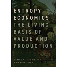 Entropy Economics by Jing Chen Hardcover Book
