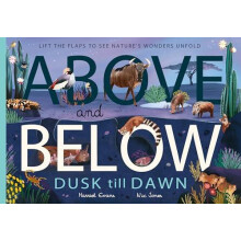 Above and Below Dusk till Dawn by Harriet Evans Paperback Book