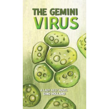 The Gemini Virus by Gino Holland Hardcover Book