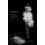 Ballerina by Patrick Modiano Paperback Book 1