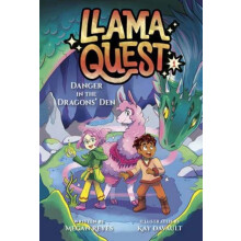 Llama Quest 1 Danger in the Dragons Den by Kay Davault Paperback Book