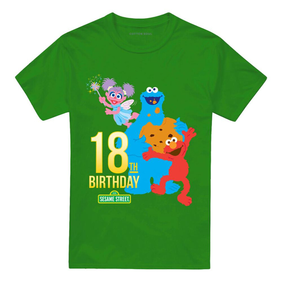 Sesame Street (4Xl, Kelly ) Unisex Adult 18Th T-Shirt Green