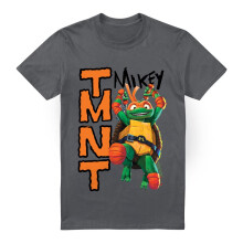 (4XL, Charcoal) Teenage Mutant Ninja Turtles Mens Mutant Mayhem Michelangelo T-Shirt