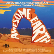 Awesome Earth by Joan Bransfield Graham Hardcover Book