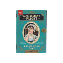 Timescape Jane Austens Plight by Ridleys Games Other Book