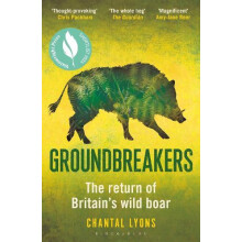 Groundbreakers by Chantal Lyons Paperback Book
