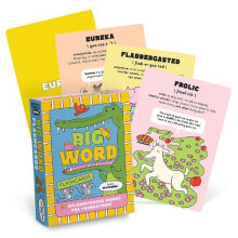 Knock Knock Kids Big Word Flashcards by Knock Knock Kids Other Book