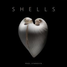 Shells by Paolo Portoghesi Hardcover Book
